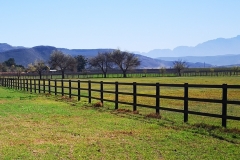 Maine Chance with Safety4Horses Brown Fencing