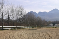 Lourensford Stud with Safety4Horses White Fencing