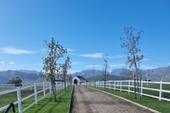 Elkasun Arabian Stud with Safety4Horses White Fencing