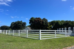 Green Dreams with Safety4Horses White Fencing