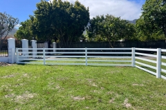 Green Dreams with Safety4Horses White Fencing