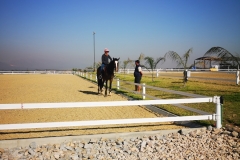 Harland Equestrian with Safety4Horses White Fencing