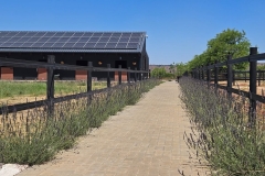Pixel Pony with Safety4Horses Charcoal Fencing
