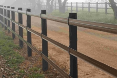 Maine Chance with Safety4Horses Brown Fencing
