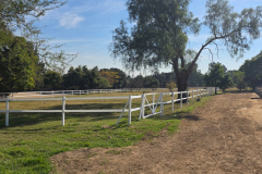 White-fencing-2-rails-2