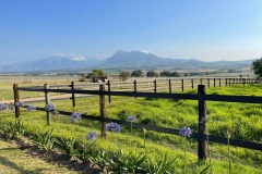 Landskroon Equestrian Center with Safety4Horses Charcoal Fencing